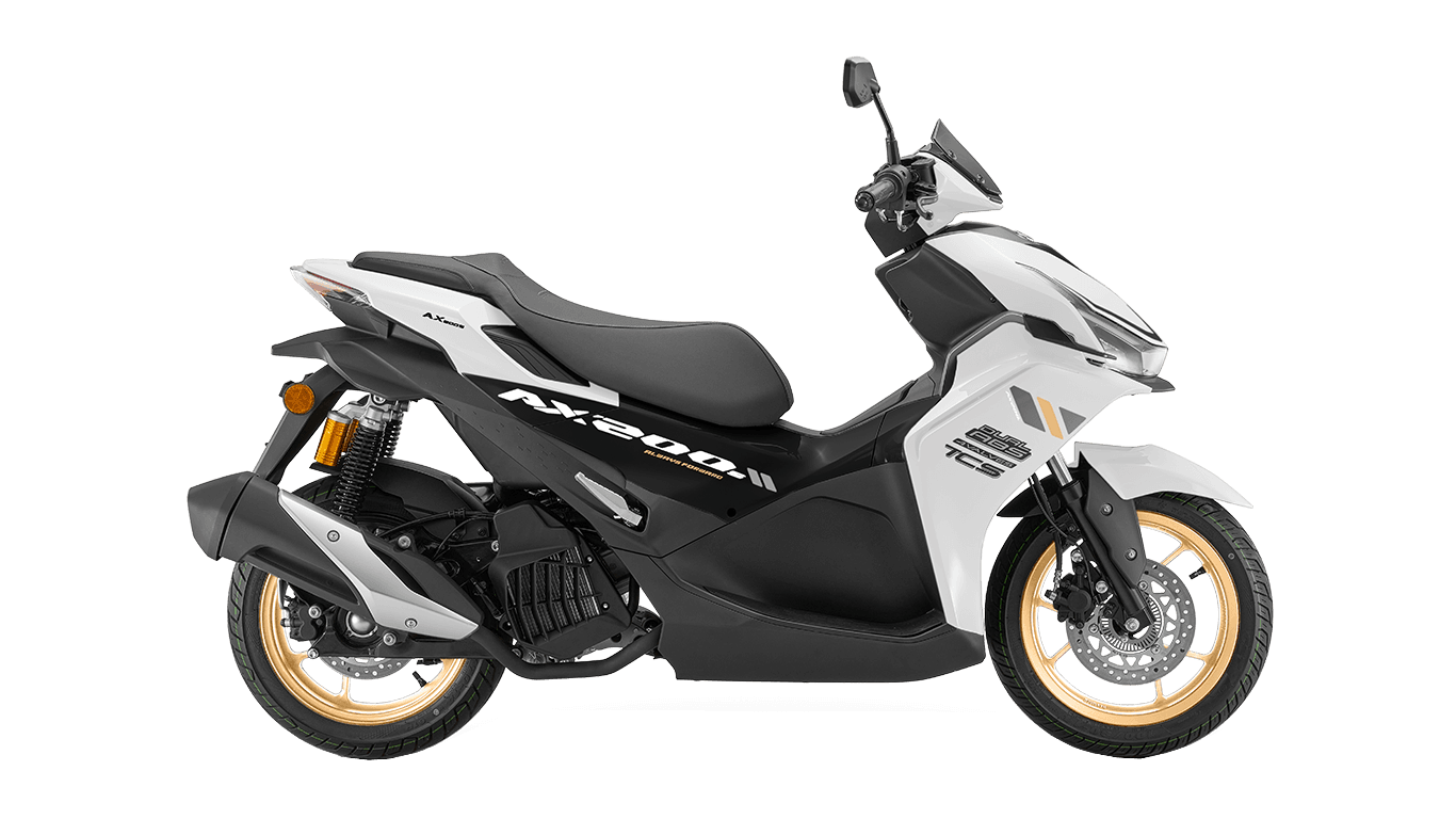 QJMotor AX200S