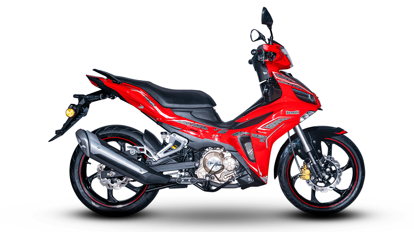 Benelli R18i